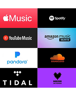 DISTRIBUTION DE MUSIQUE NUMÉRIQUE